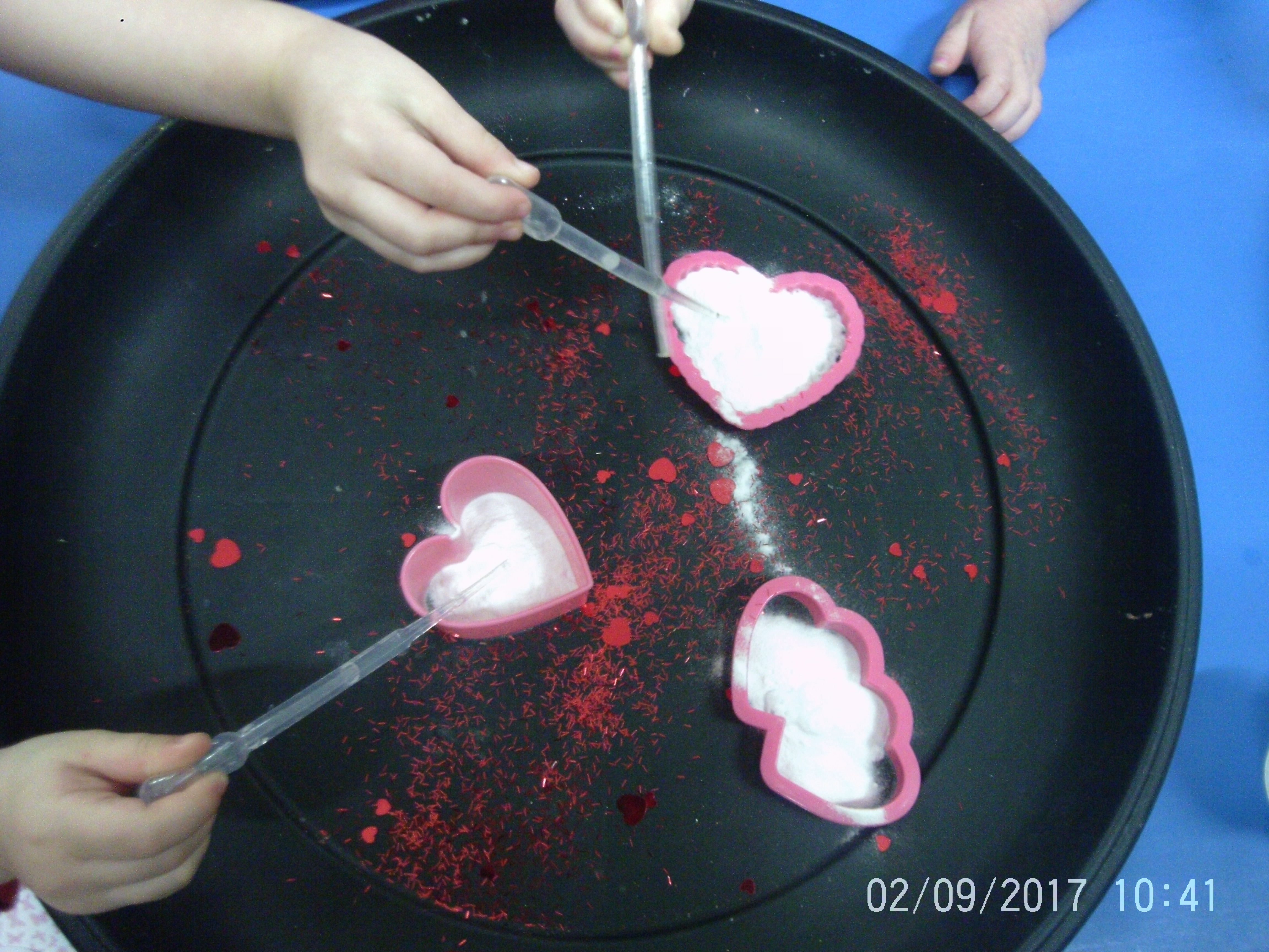 Montessori - Everyday Living