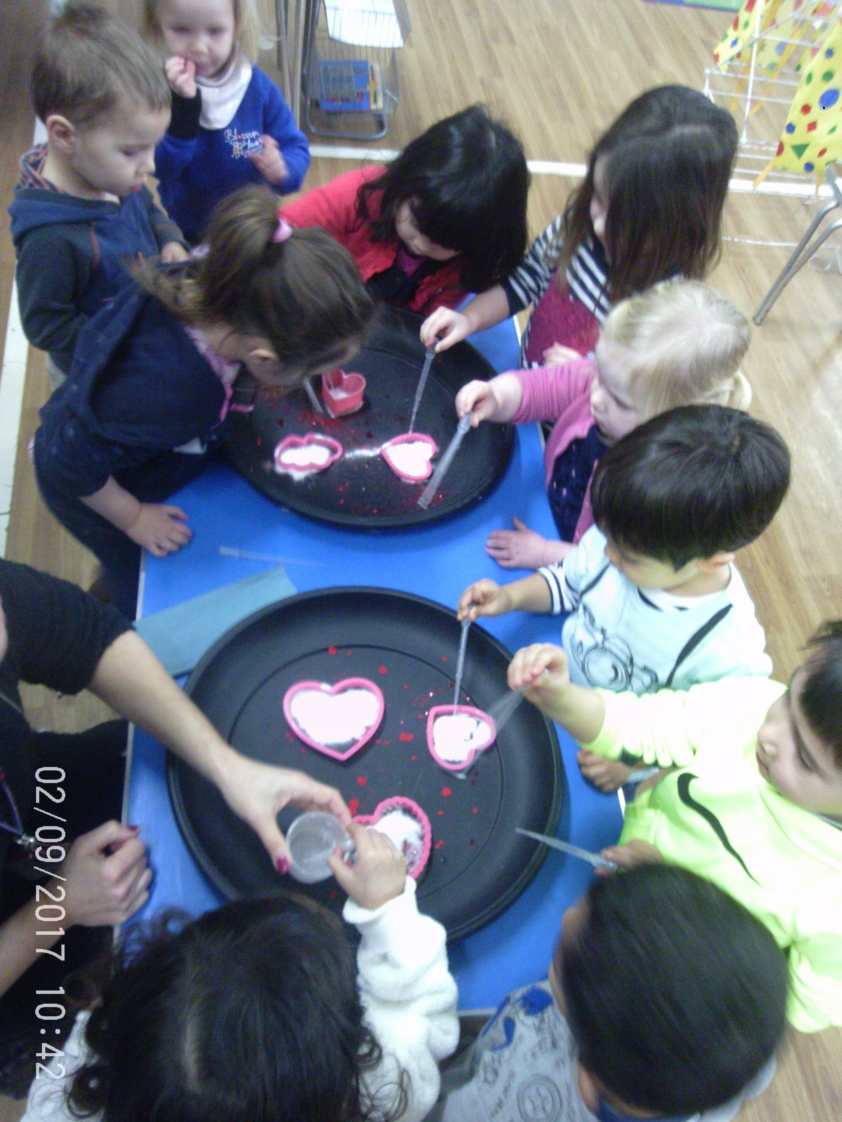 Montessori - Everyday Living