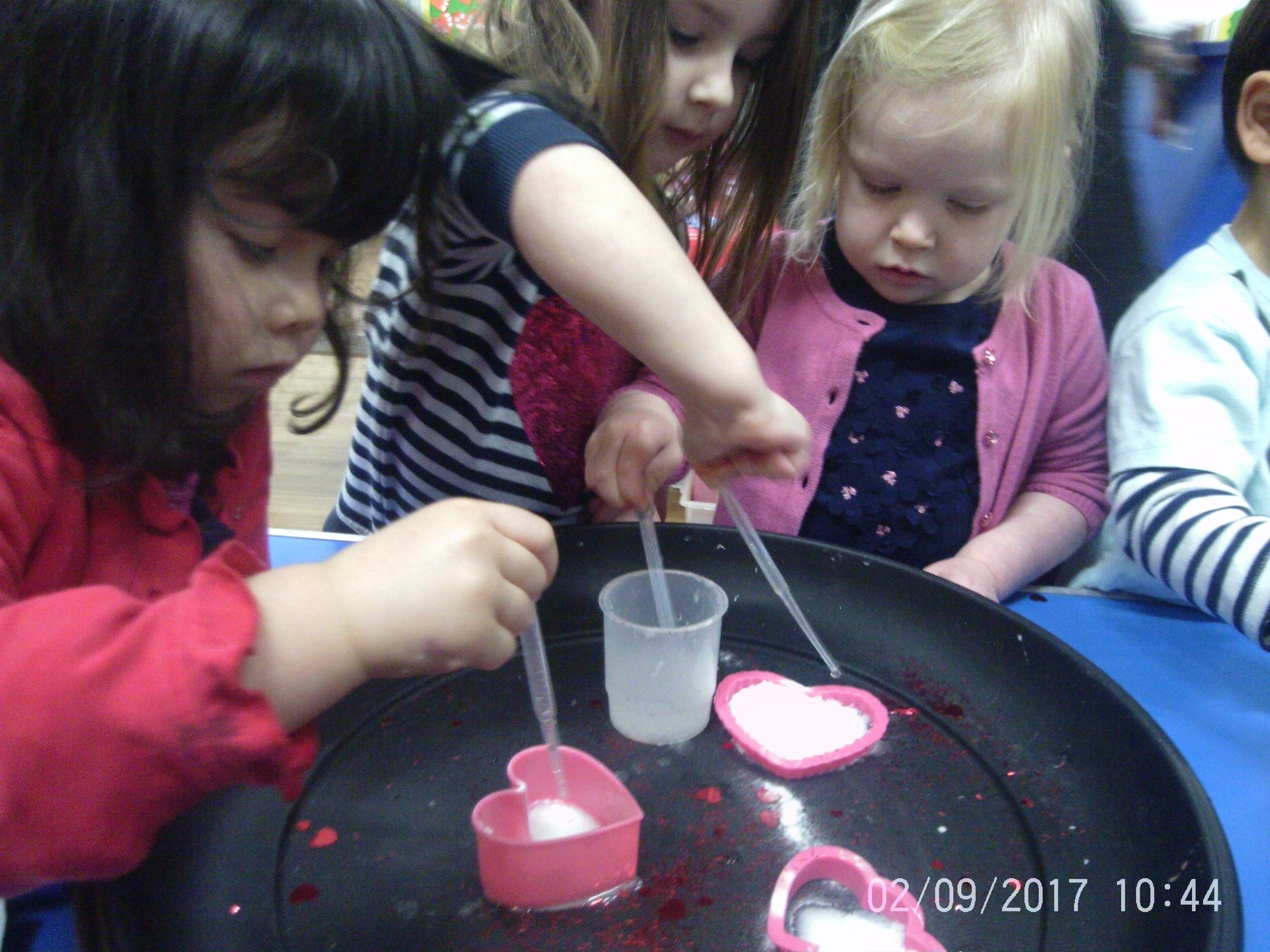 Montessori - Everyday Living