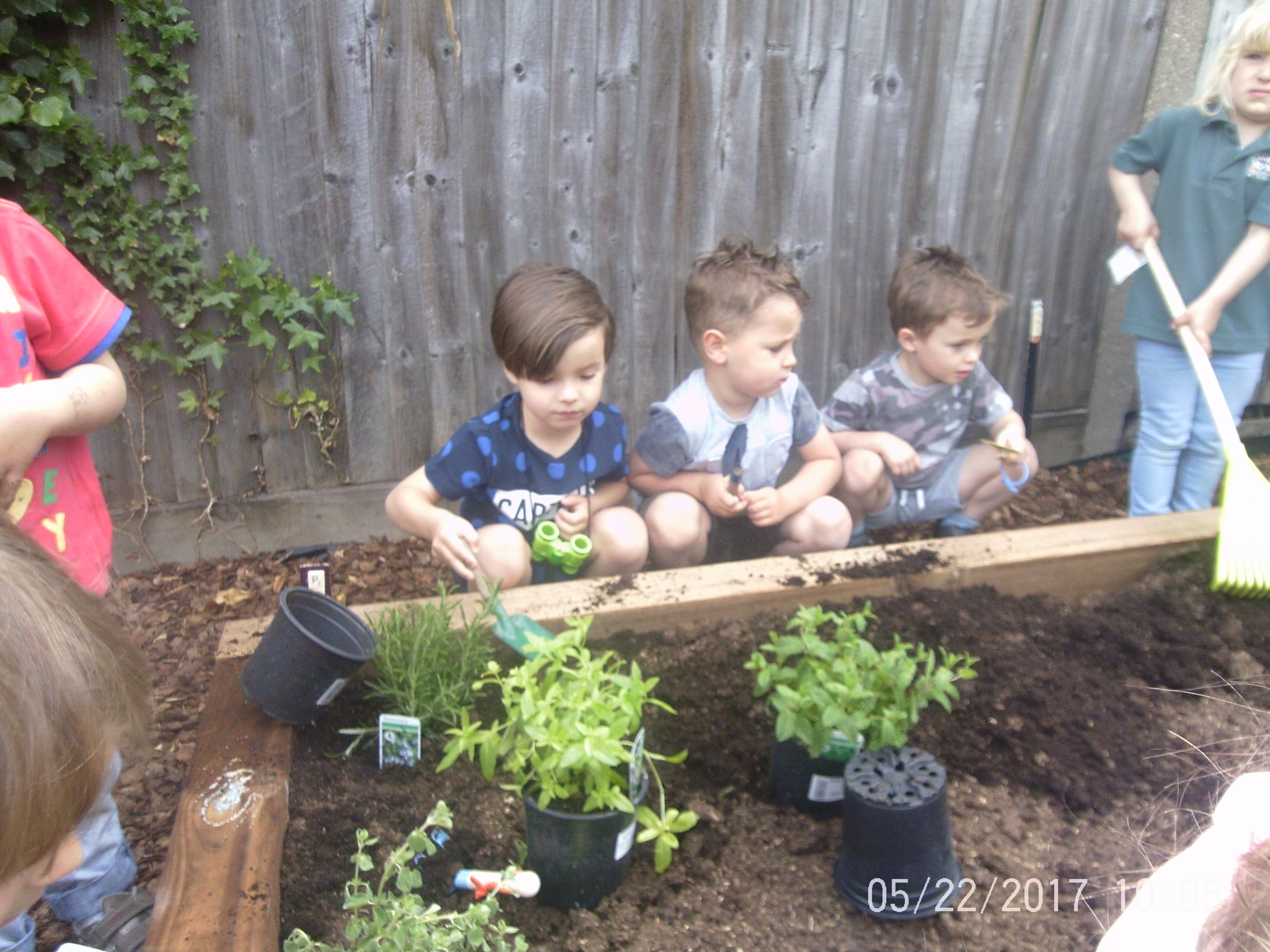 Gardening and Frogs