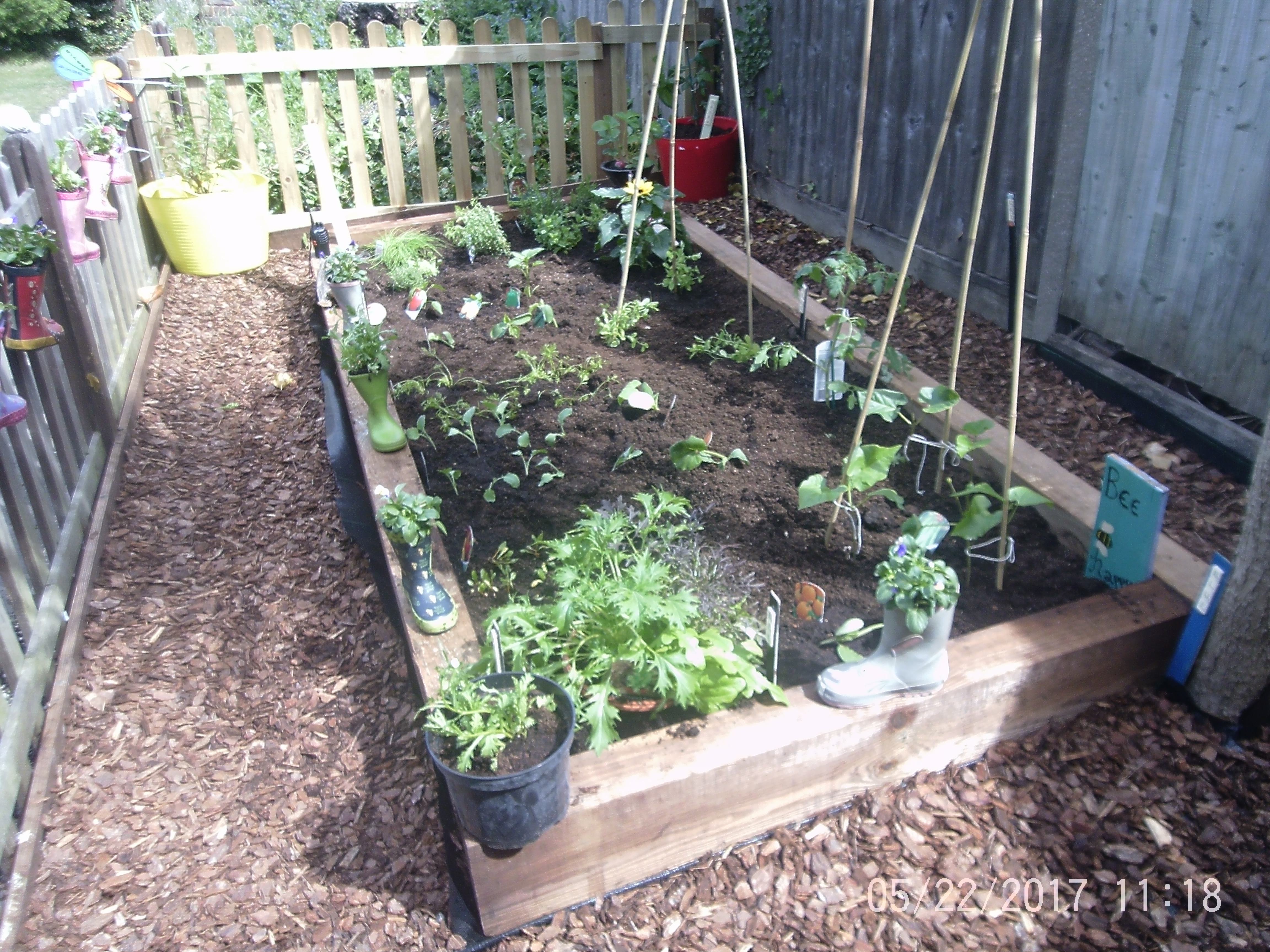 Gardening and Frogs