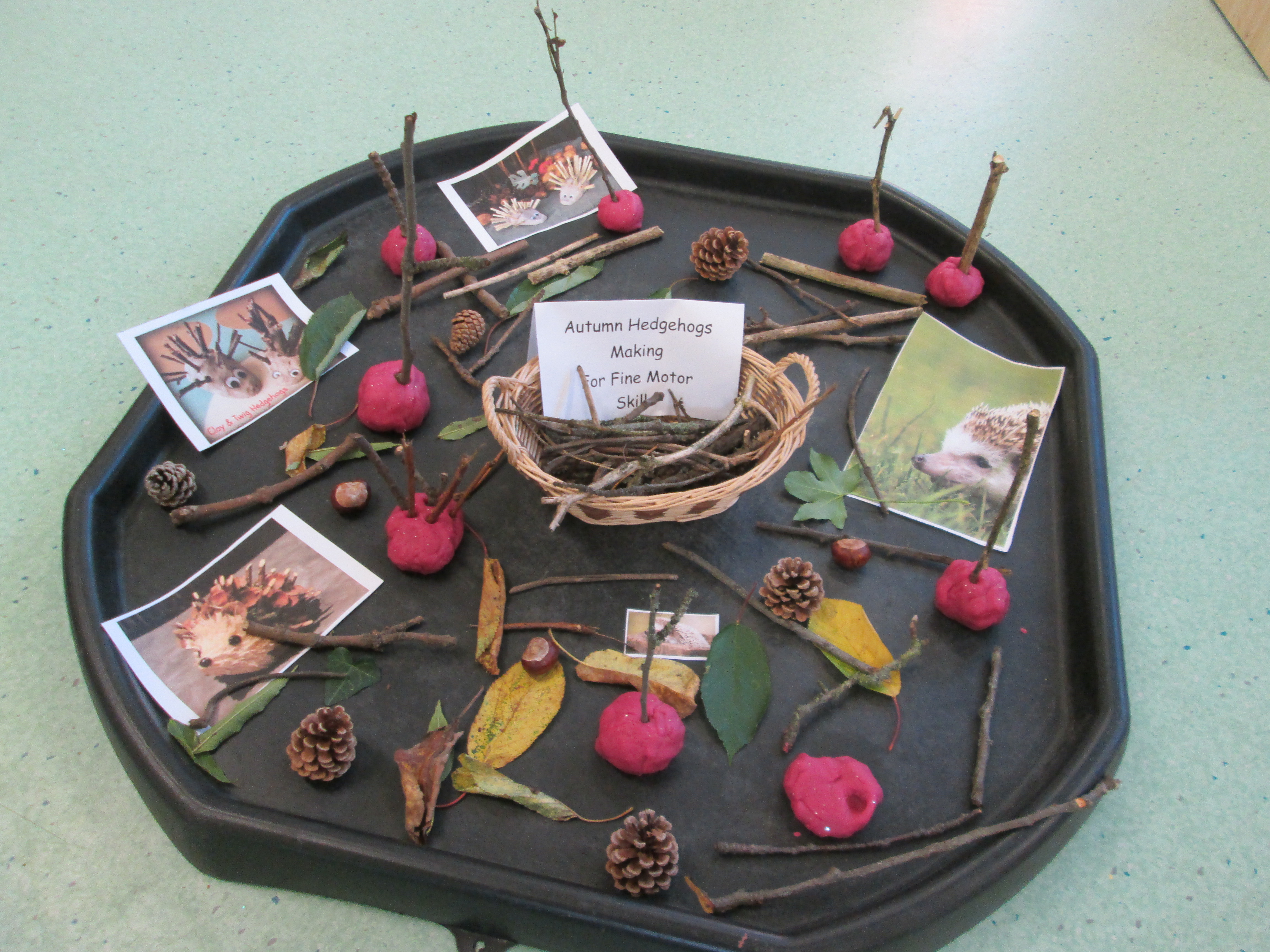 Autumn Hedgehogs making, for fine motor skills.