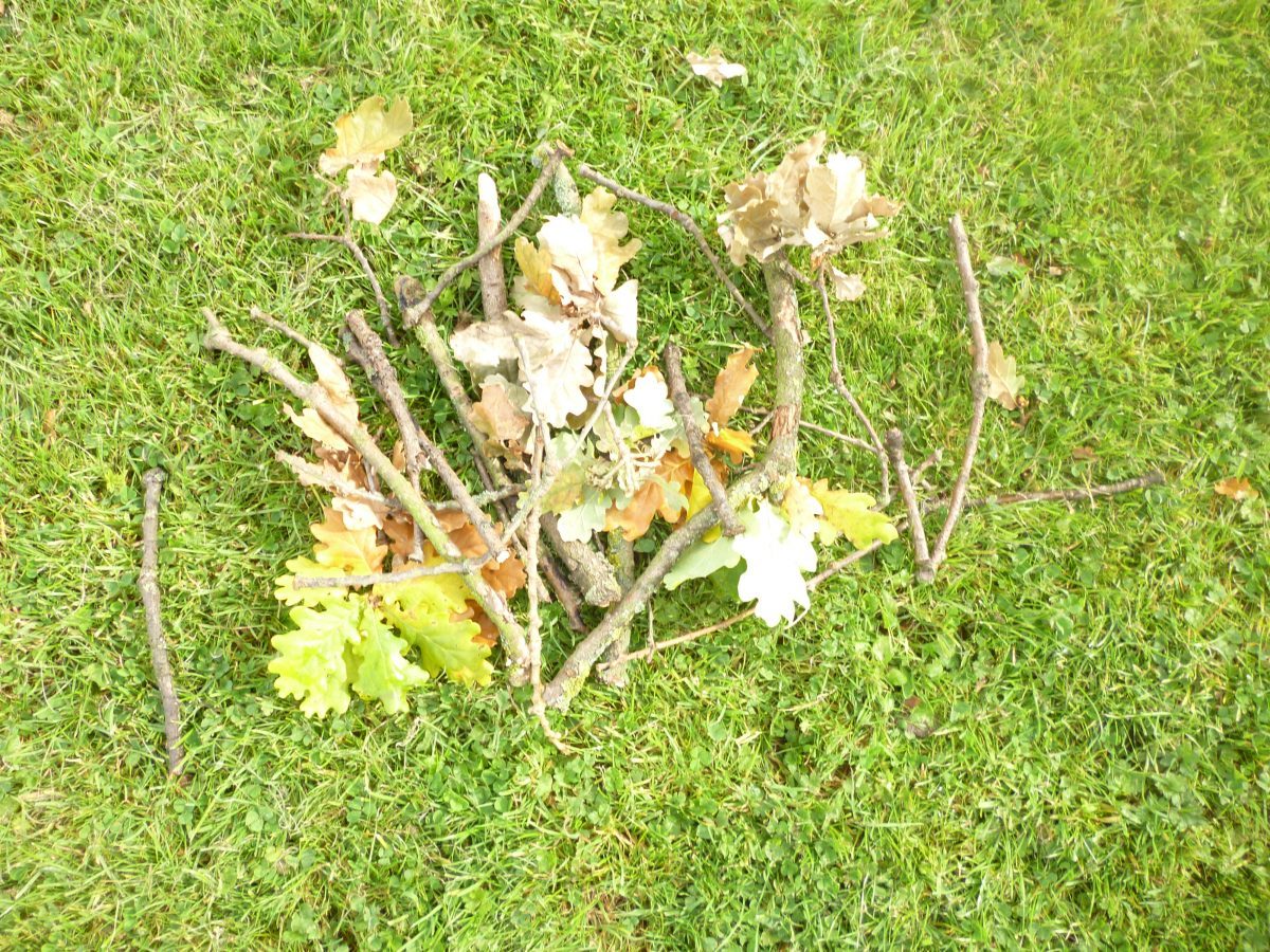 Outdoor learning with Forest School
