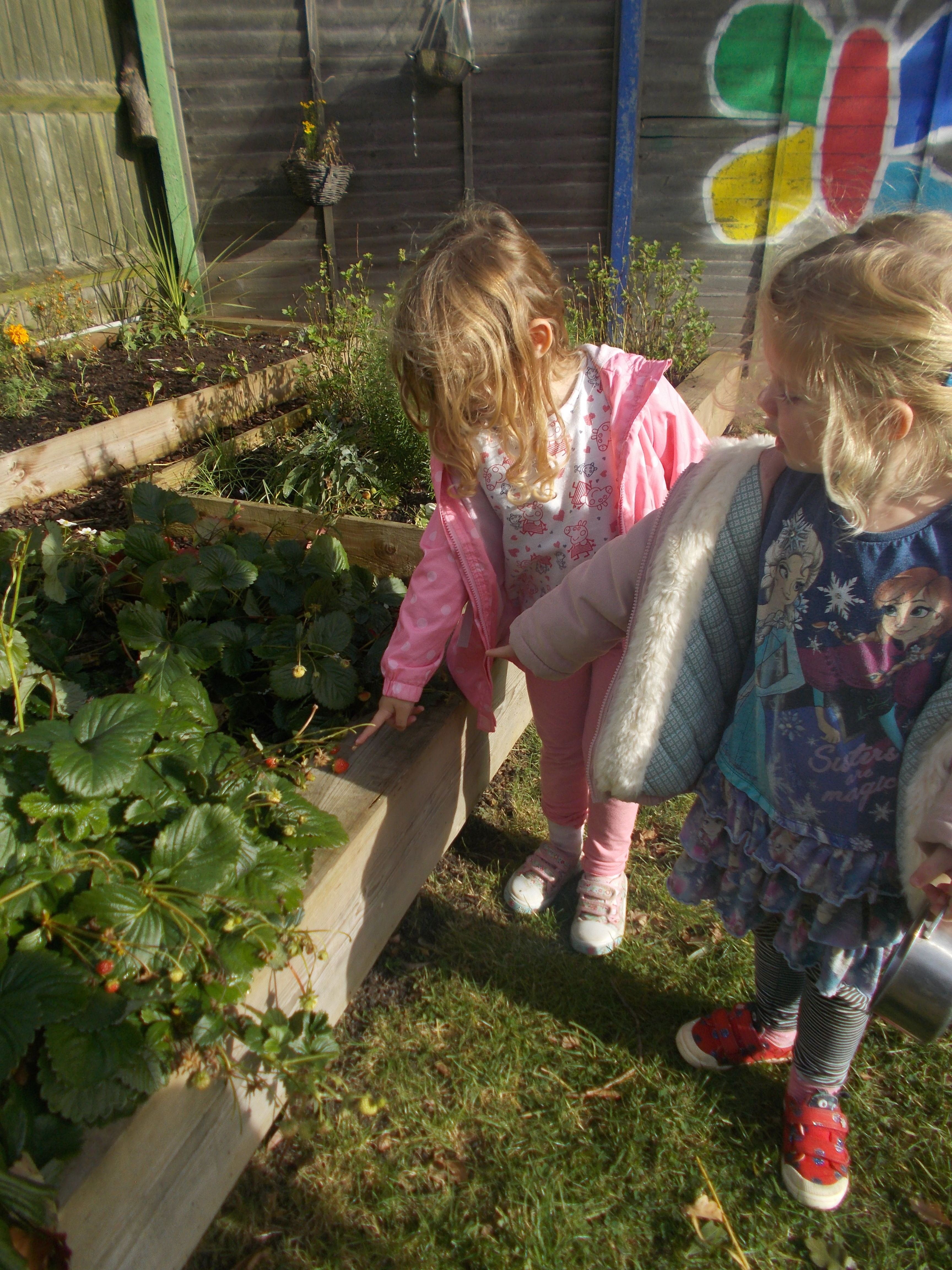 Autumn harvest and planting at Imperial Way