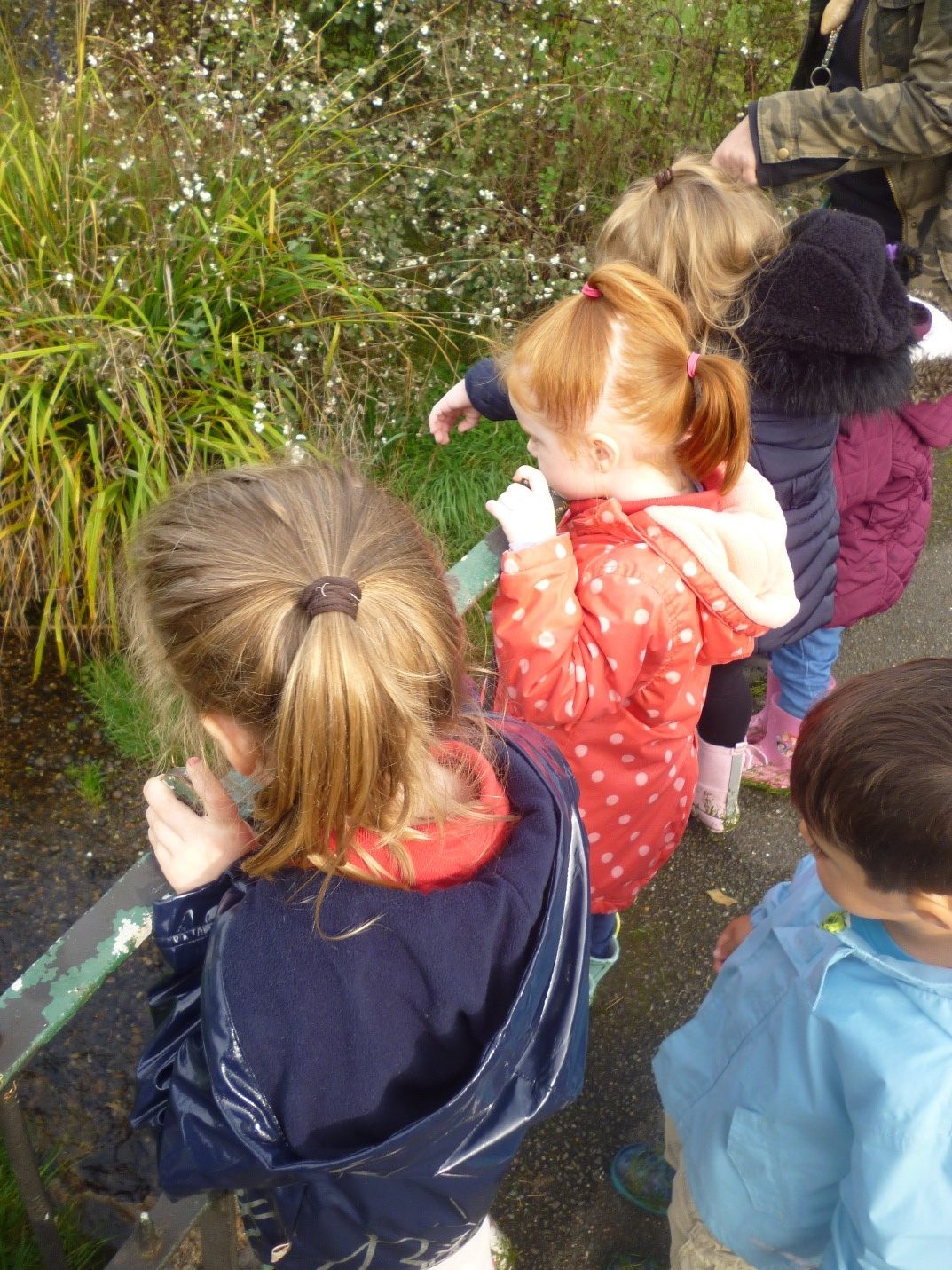 Forest School outing