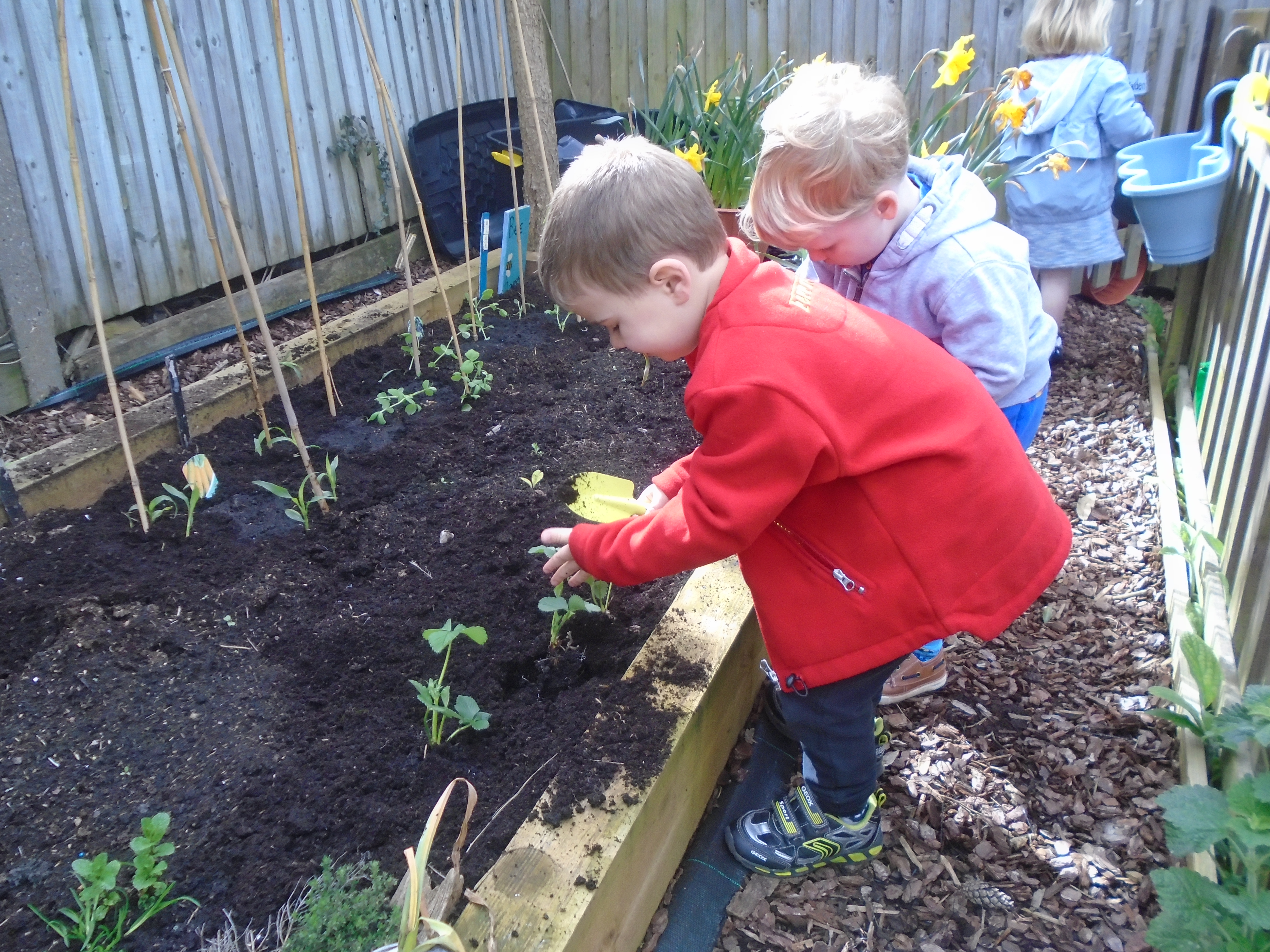 Spring planting