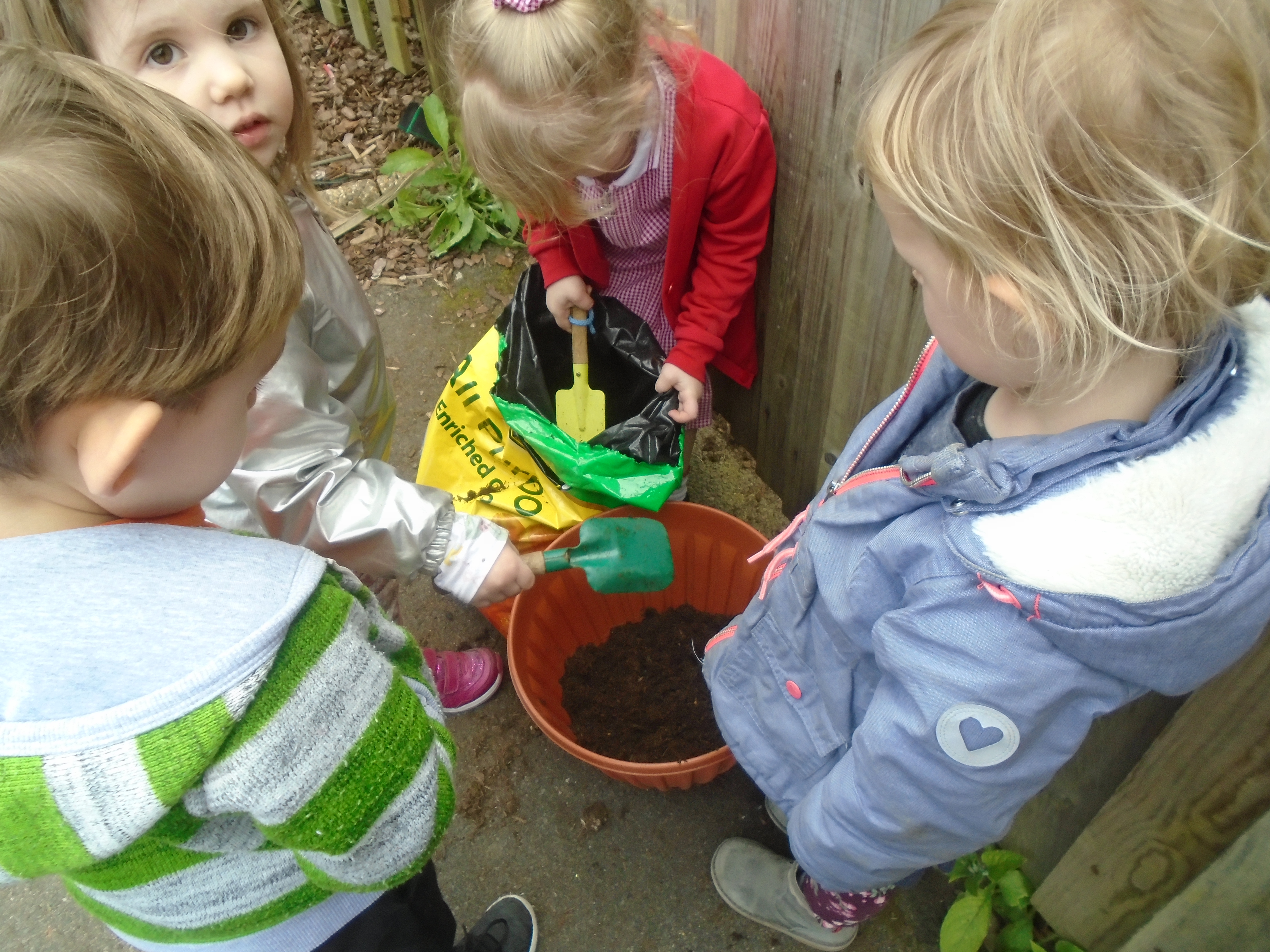 Spring planting