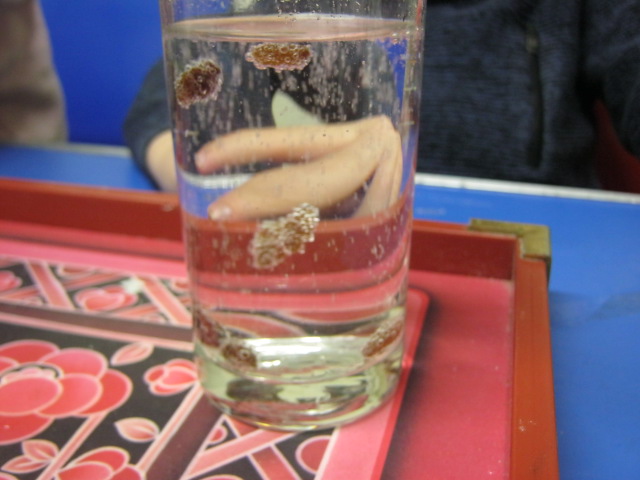 Science Week