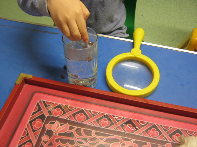 Science Week