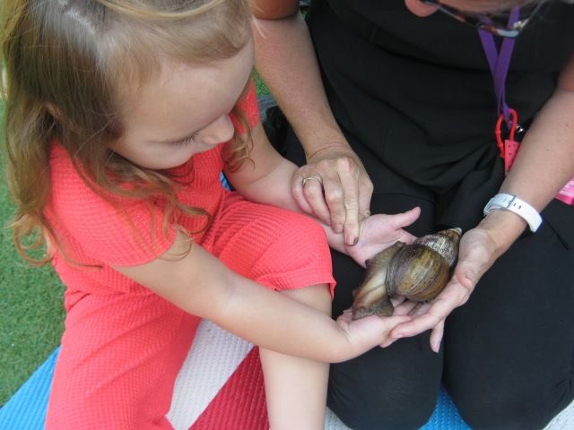 African Snails at St Marys!