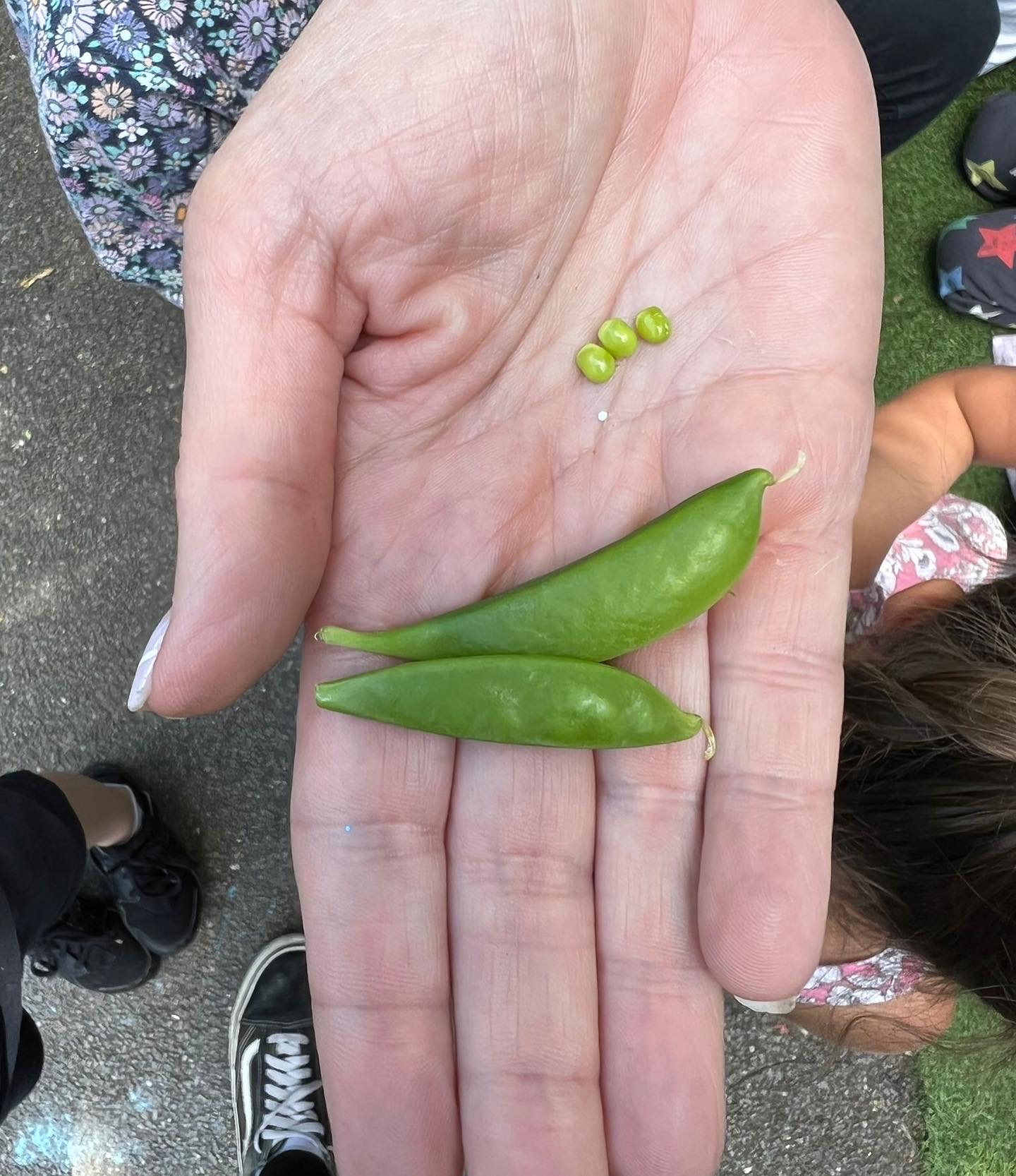 Valeswood picks pods!